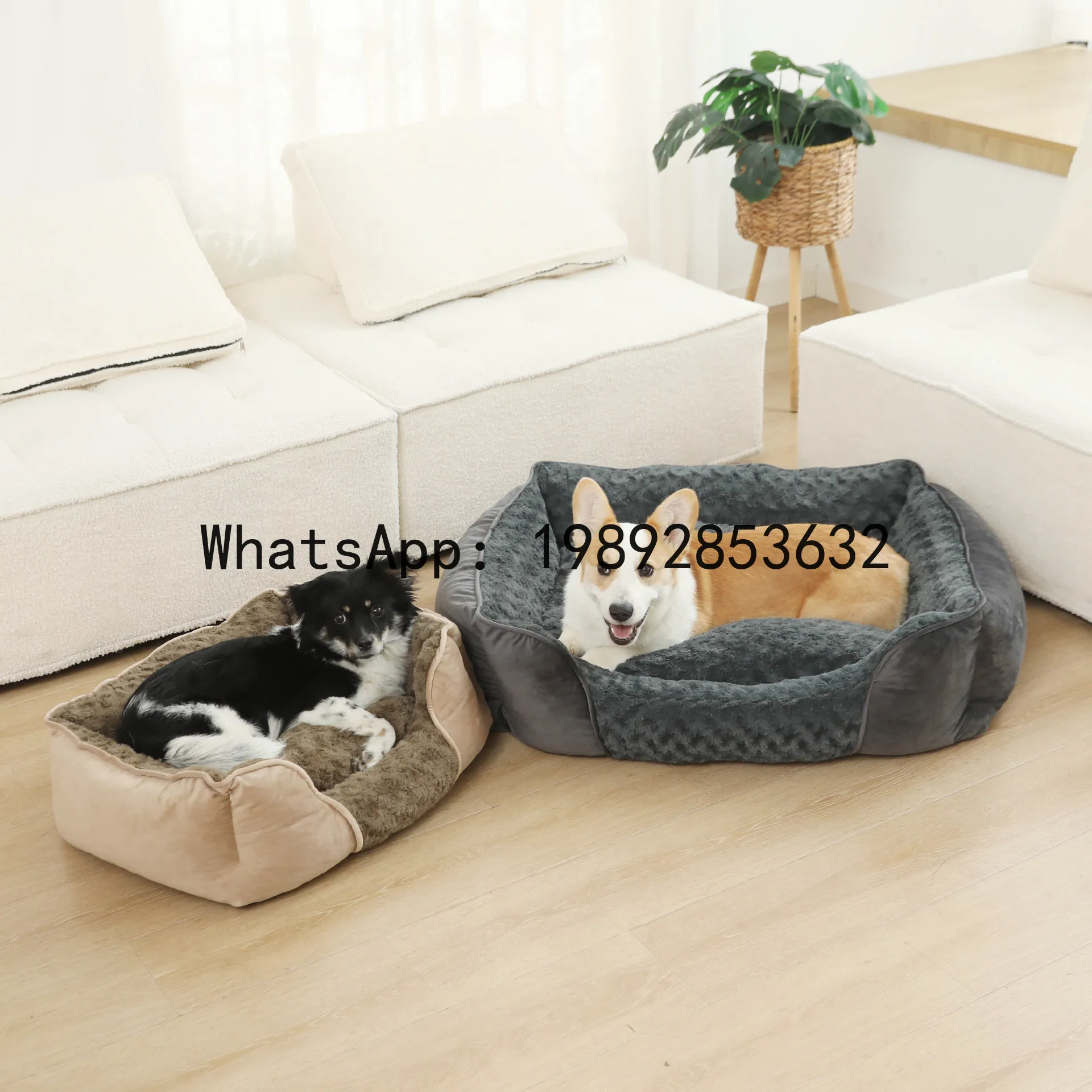 Pet X Supplies & Tack Howell Mi - X cat house semi-enclosed dog kennel