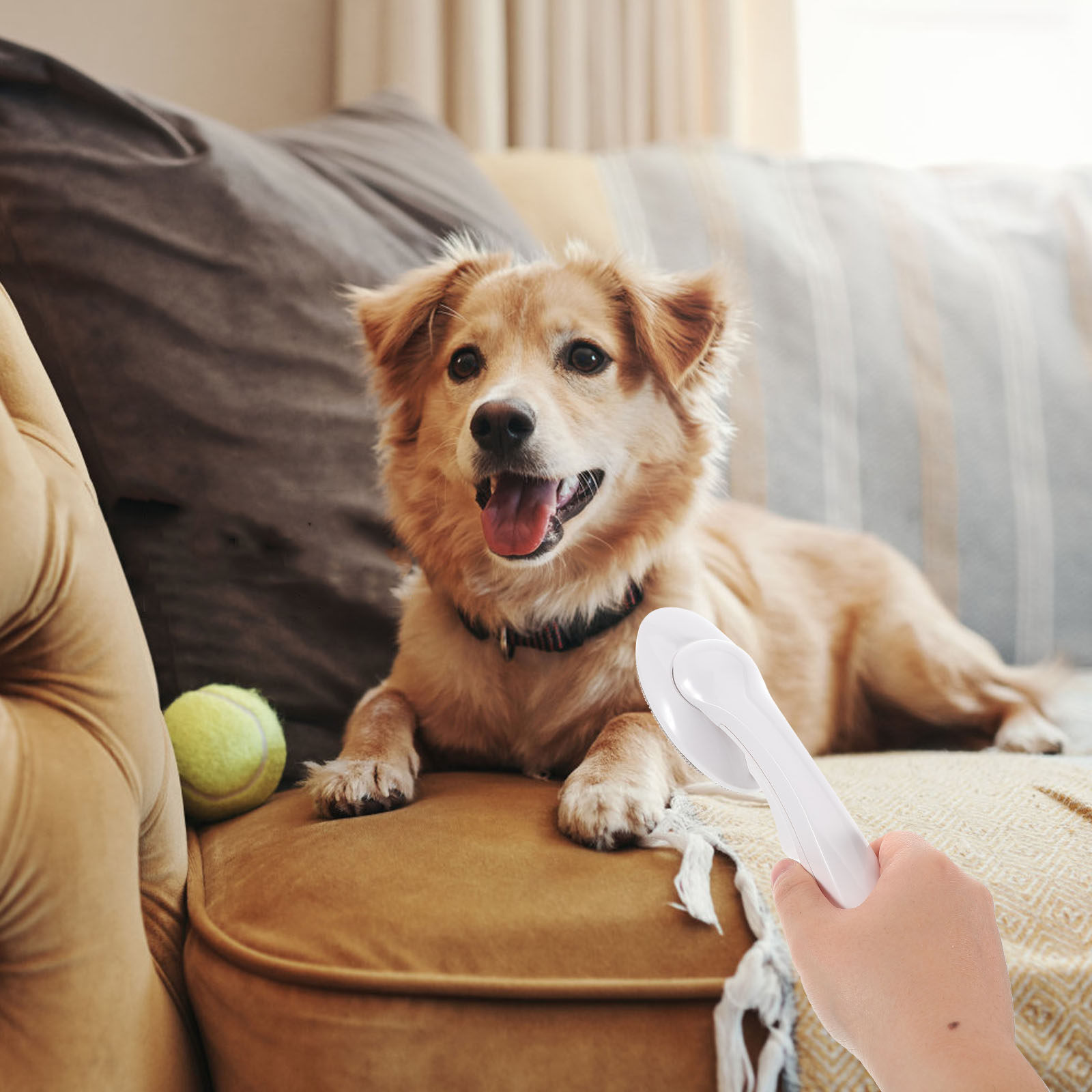 Pet Hair Remover Brush - Rotating Ball Pet Hair Remover Brush