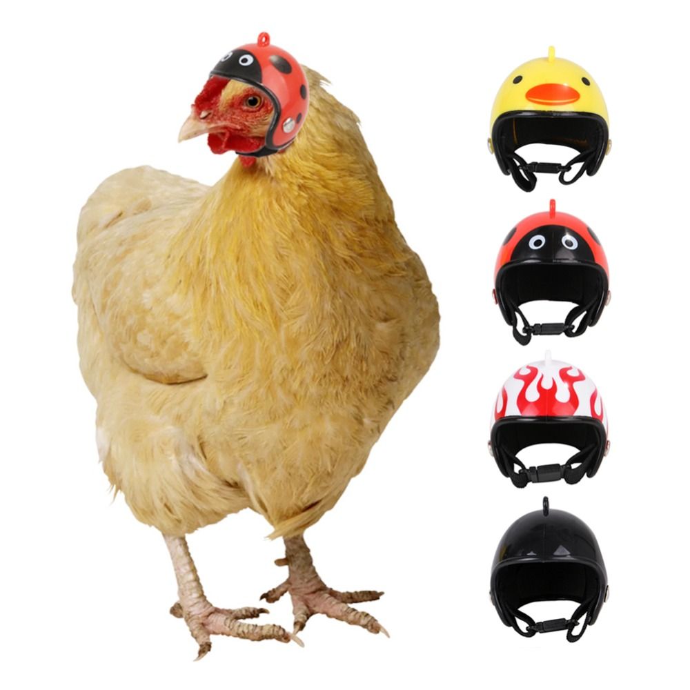 Pet X Supplies & Tack Howell Mi - ABS Pet Supplies Funny Pet Protective
