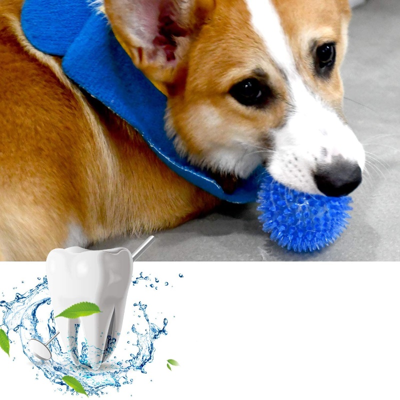 Pet Toy Ball for Cats And Dogs - Pet Dental Chew Toy review and price