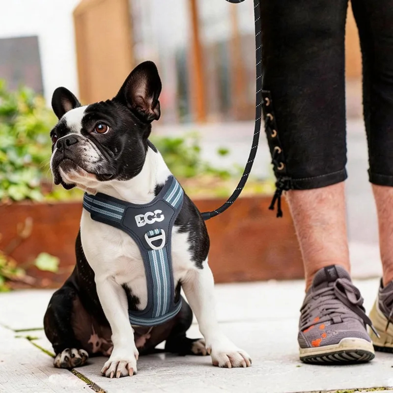 Reflective Dog Harness Adjusta - No Pull Dog Harness review and price