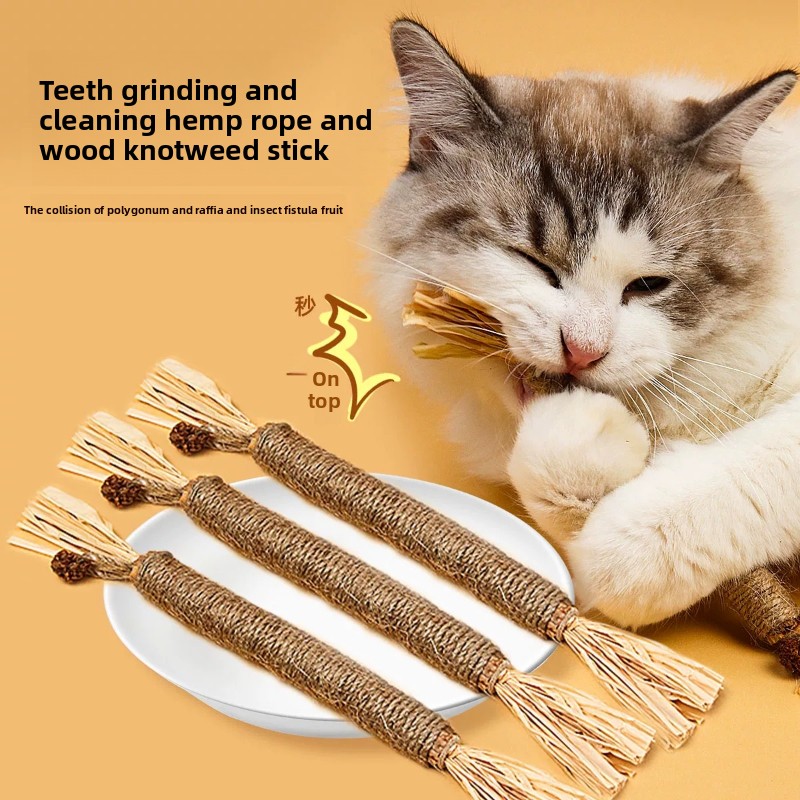 Cat Interactive Toy Set, Catni - Catnip Toys review and price
