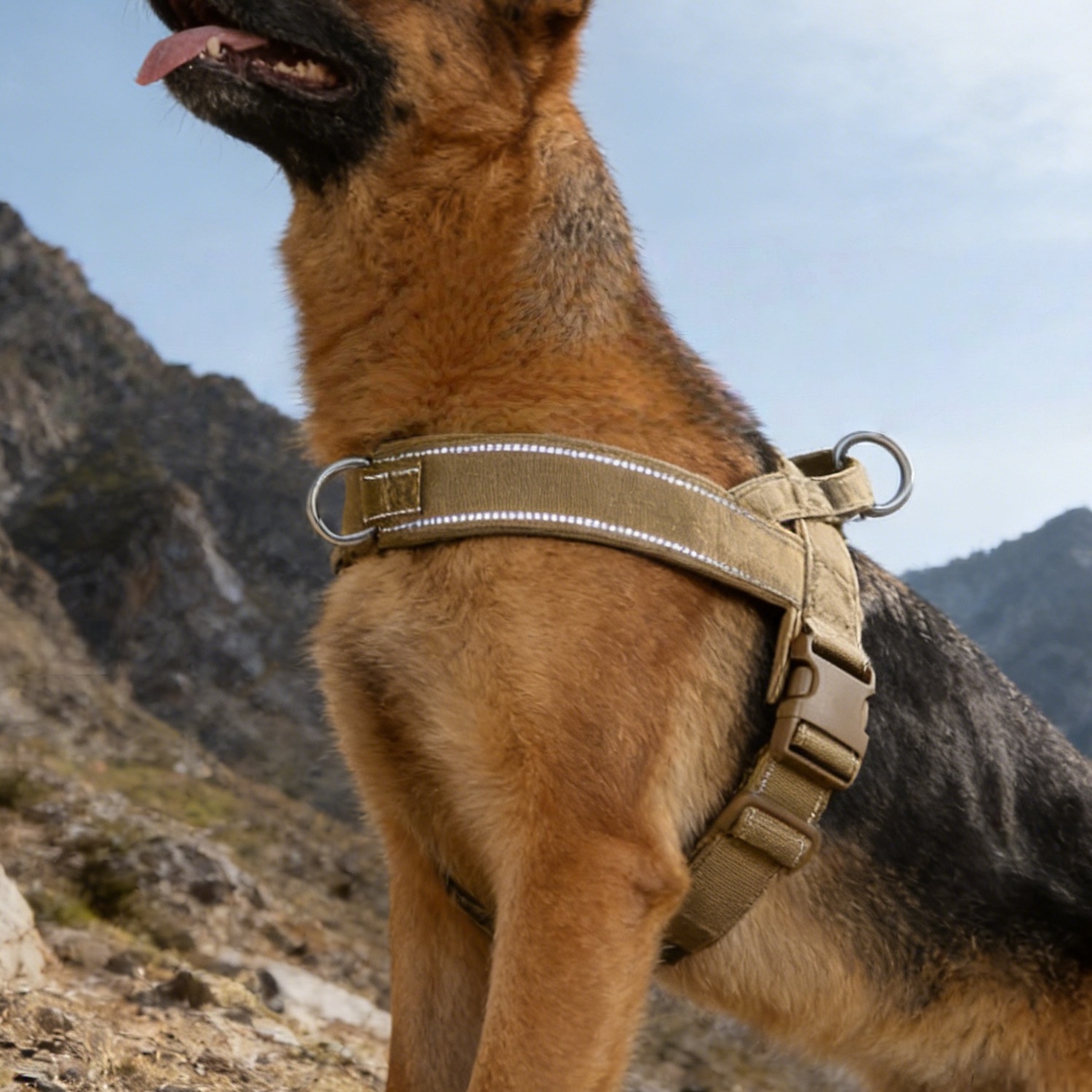 Tactical No-Pull Dog Harness f - No Pull Dog Harness review and price