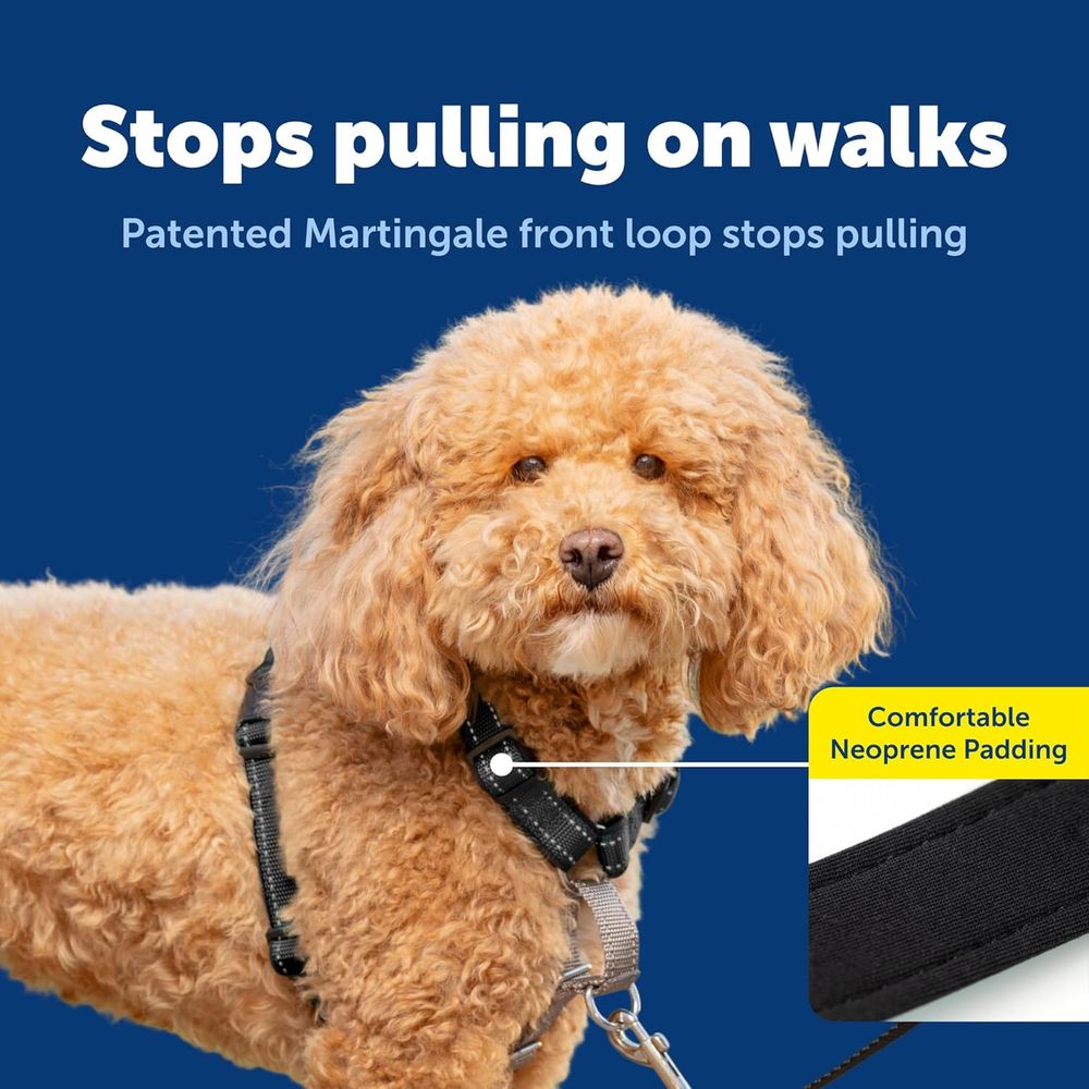 3 in 1 No-Pull Dog Harness - W - No Pull Dog Harness review and price