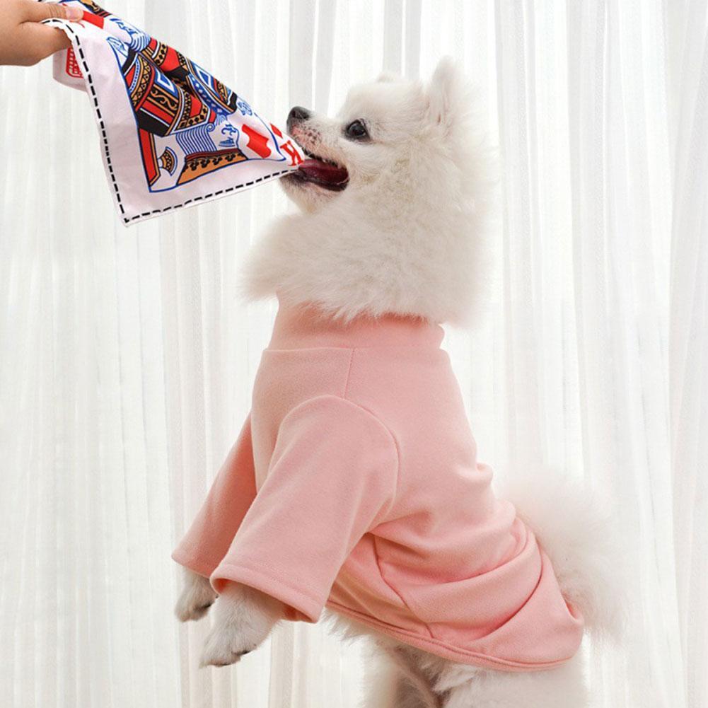 Tearproof Dog Sound Chew Toy S - Pet Dental Chew Toy review and price