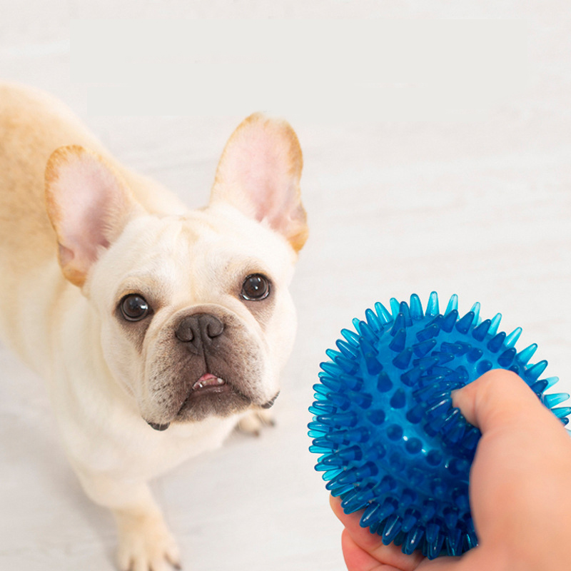 High Elasticity French Bulldog - Pet Dental Chew Toy review and price