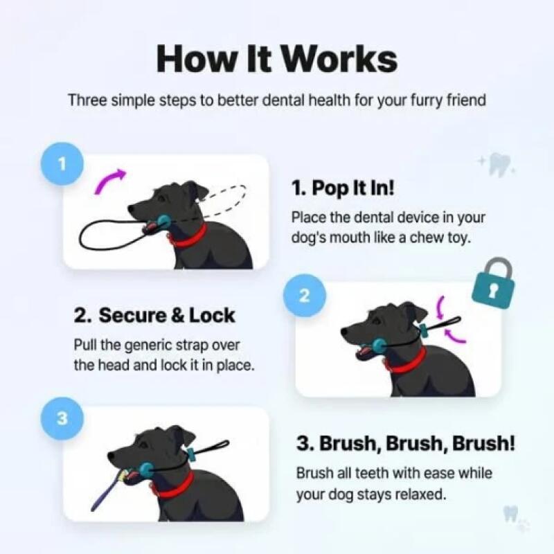 Dual Function Pet Dental Chew  - Pet Dental Chew Toy review and price