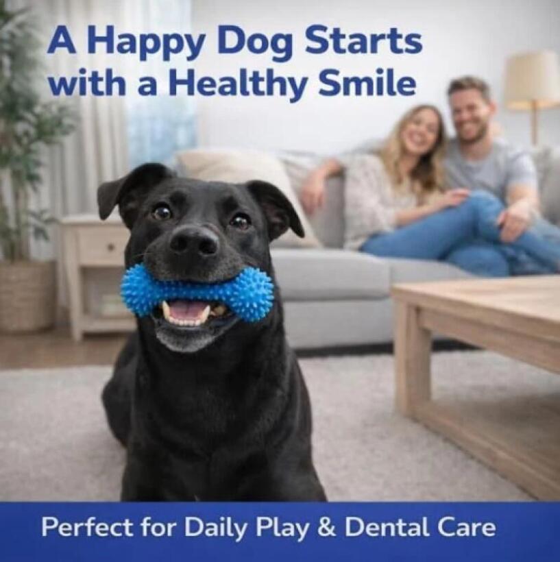 Dual Function Pet Dental Chew  - Pet Dental Chew Toy review and price