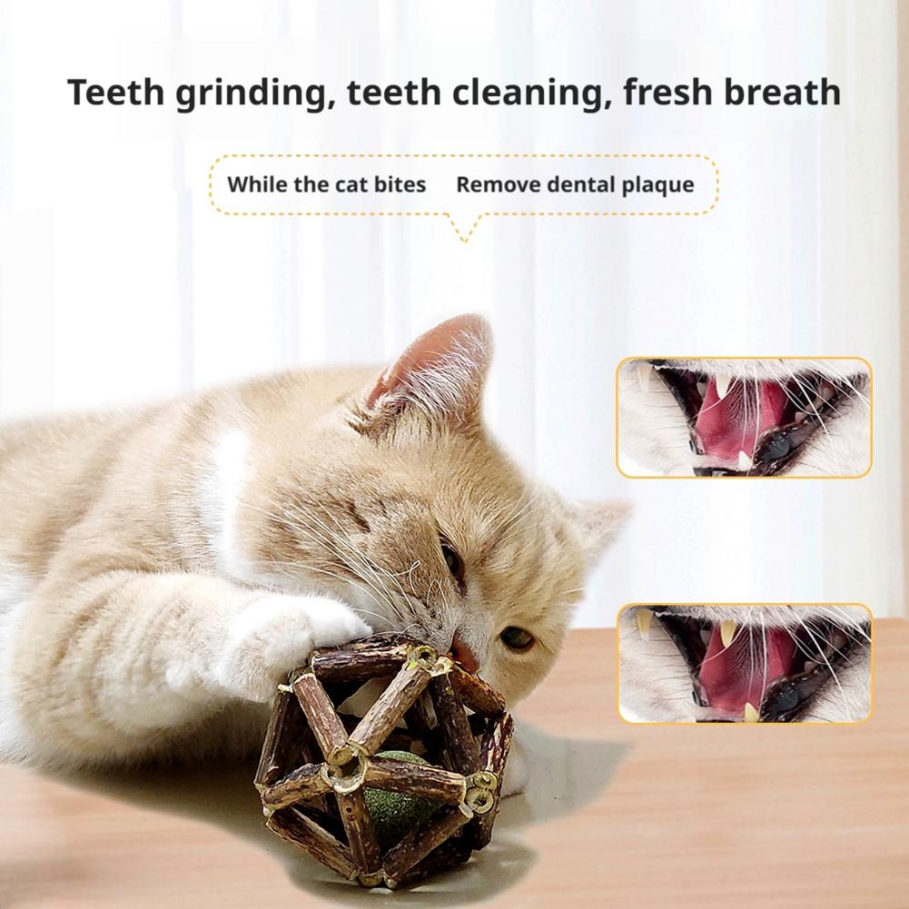 Catnip Ball Cat Interactive To - Catnip Toys review and price