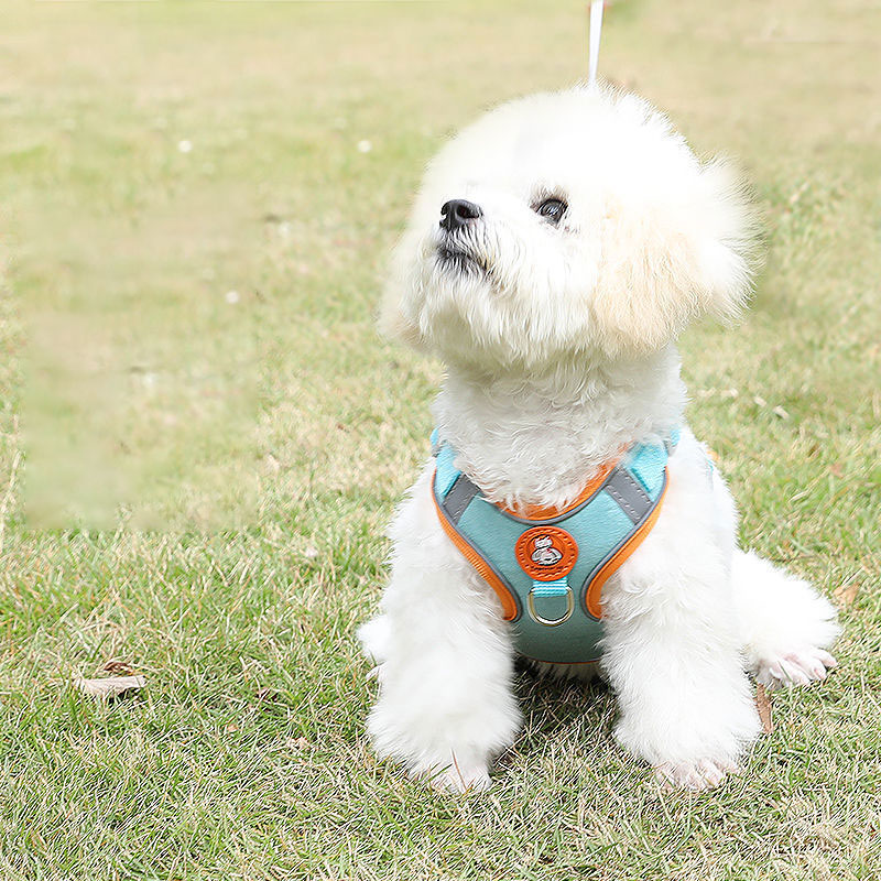 Adjustable dog harness no pull - No Pull Dog Harness review and price