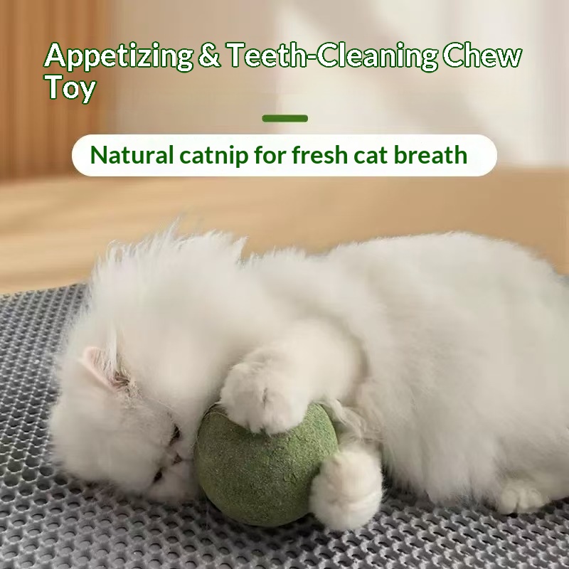 Catnip Ball Extra Large Cat To - Catnip Toys review and price