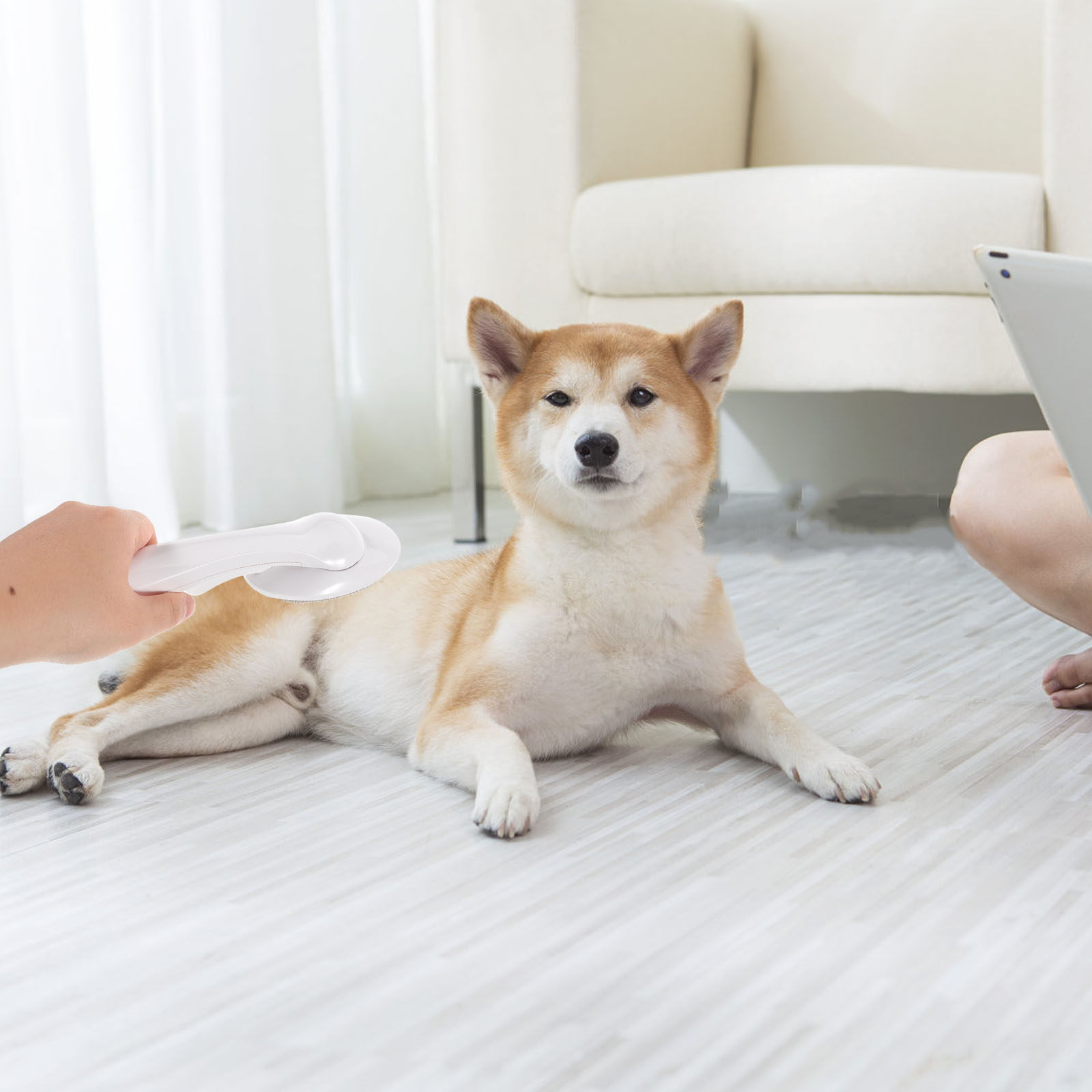 Rotating Ball Pet Hair Remover - Pet Hair Remover Brush review and price