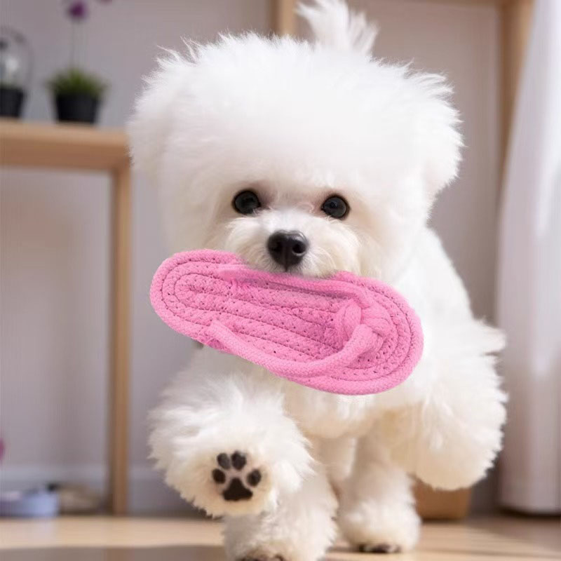 Funny Pet Dog Toys Slippers Co - Pet Dental Chew Toy review and price