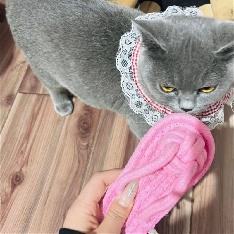 Funny Pet Dog Toys Slippers Co - Pet Dental Chew Toy review and price