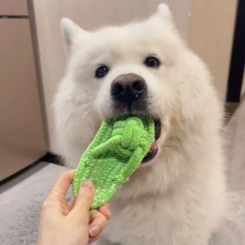 Funny Pet Dog Toys Slippers Co - Pet Dental Chew Toy review and price