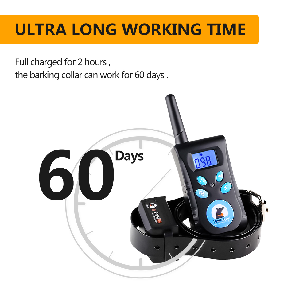 Pet Supplies and Equipment Dog - Pet Supplies Hours Today review and price