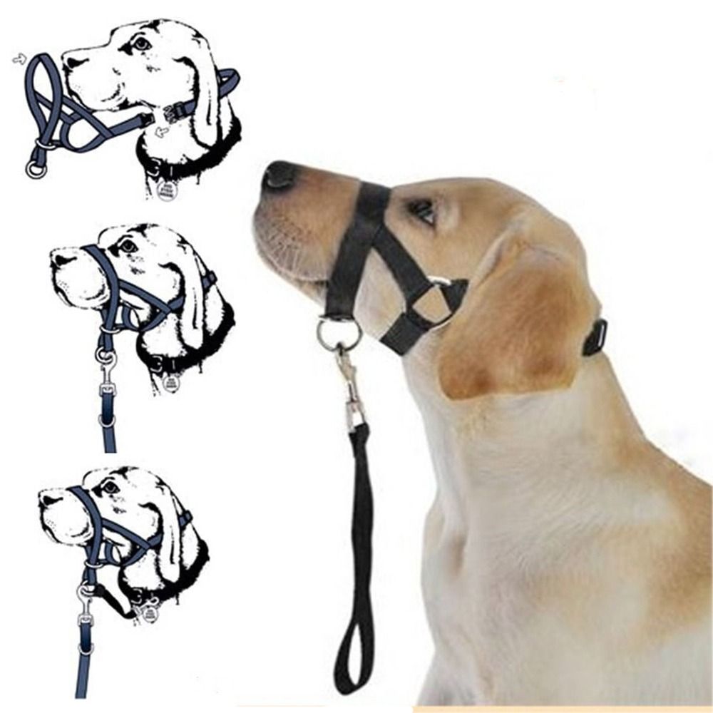 Adjustable Anti barking Non Pu - No Pull Dog Harness review and price