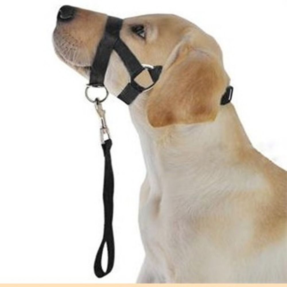 Adjustable Anti barking Non Pu - No Pull Dog Harness review and price