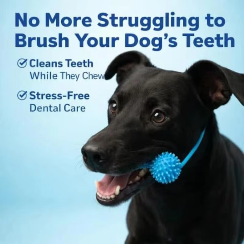 Pet Dog Dental Care Chew Toy D - Pet Dental Chew Toy review and price