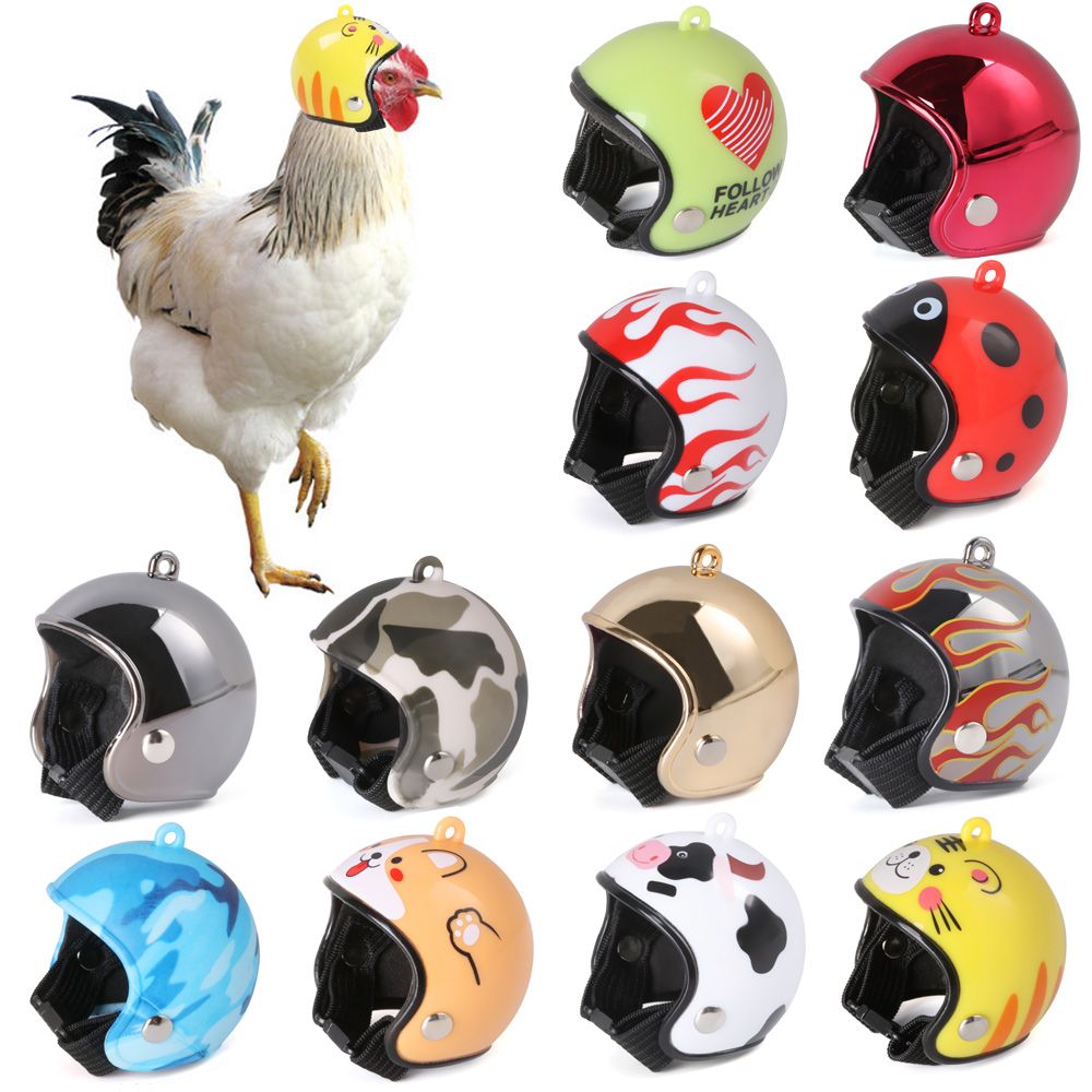 ABS Pet Supplies Funny Pet Pro - Pet X Supplies & Tack Howell Mi review and price