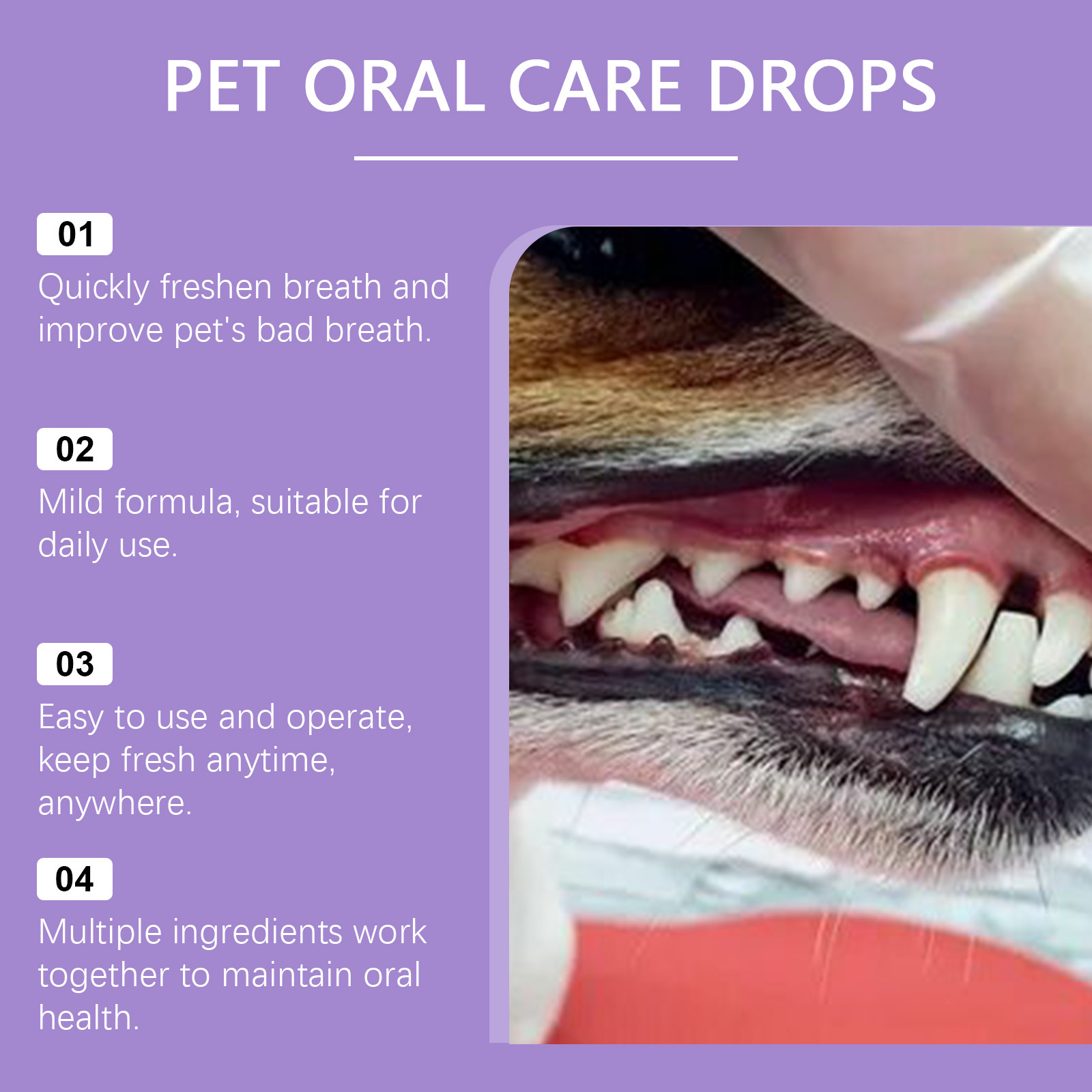 Pet Oral Cleaning Spray 50ml D - Pet Supplies Warehouse review and price