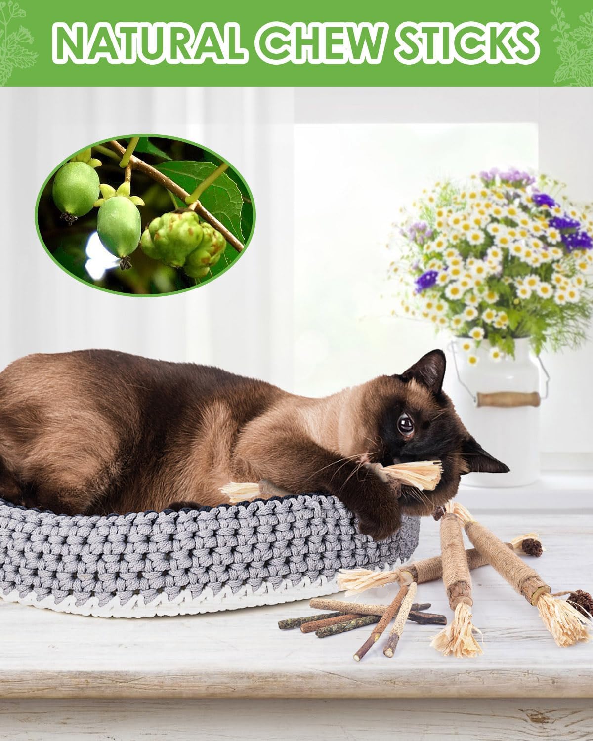 Silvervine Chew Sticks for Cat - Catnip Toys review and price