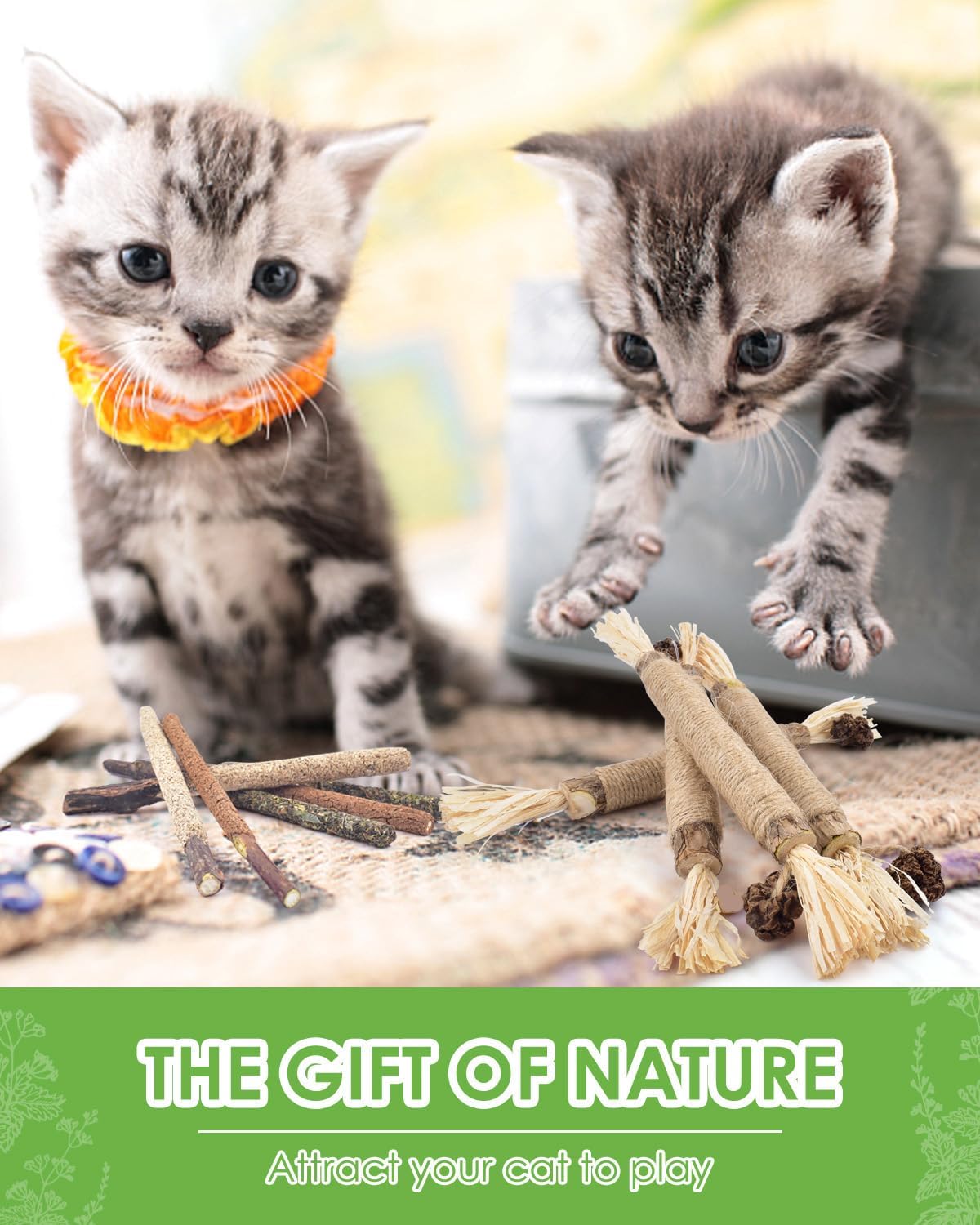 Silvervine Chew Sticks for Cat - Catnip Toys review and price