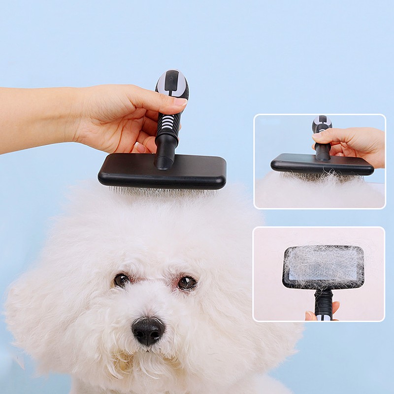 Dog Brush Massage Cat Brush Co - Pet Hair Remover Brush review and price
