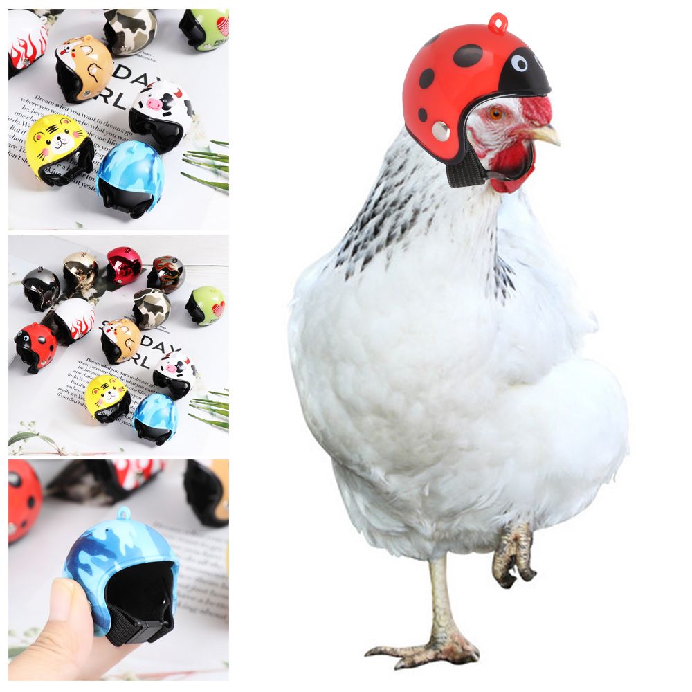 ABS Funny Pet Supplies Pet Pro - Pet X Supplies & Tack Howell Mi review and price