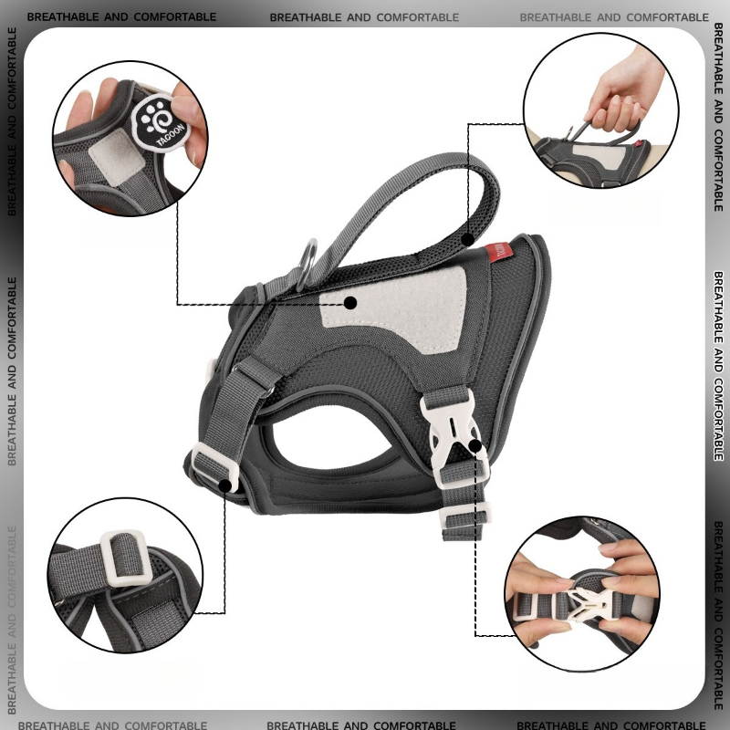 Tactical Cat Harness with 1.6m - No Pull Dog Harness review and price