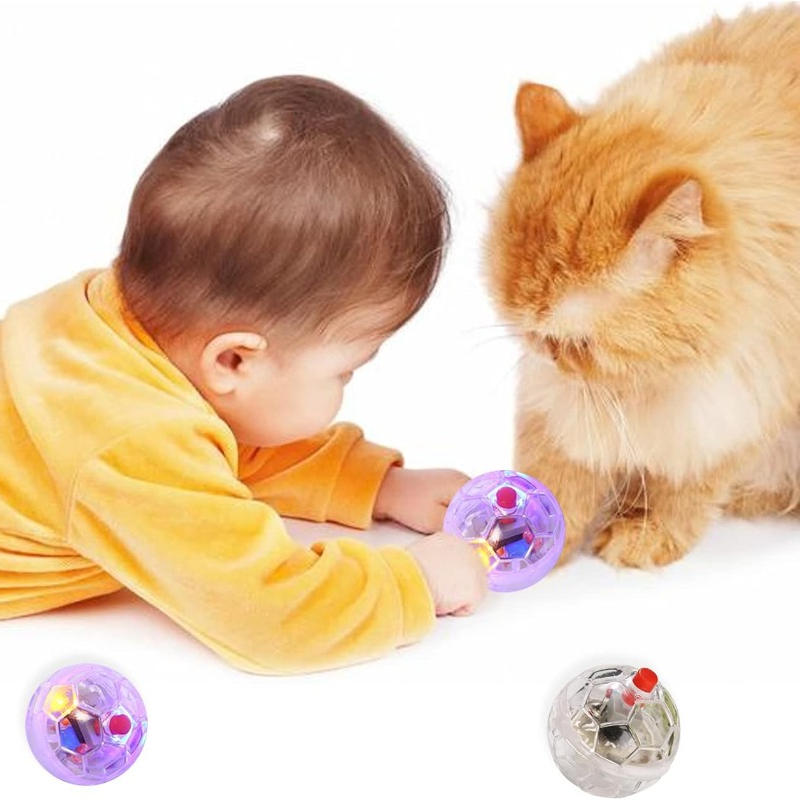 Cat Transparent Glowing Ball T - Catnip Toys review and price