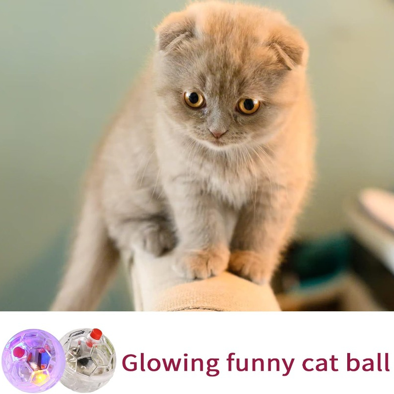 Cat Transparent Glowing Ball T - Catnip Toys review and price