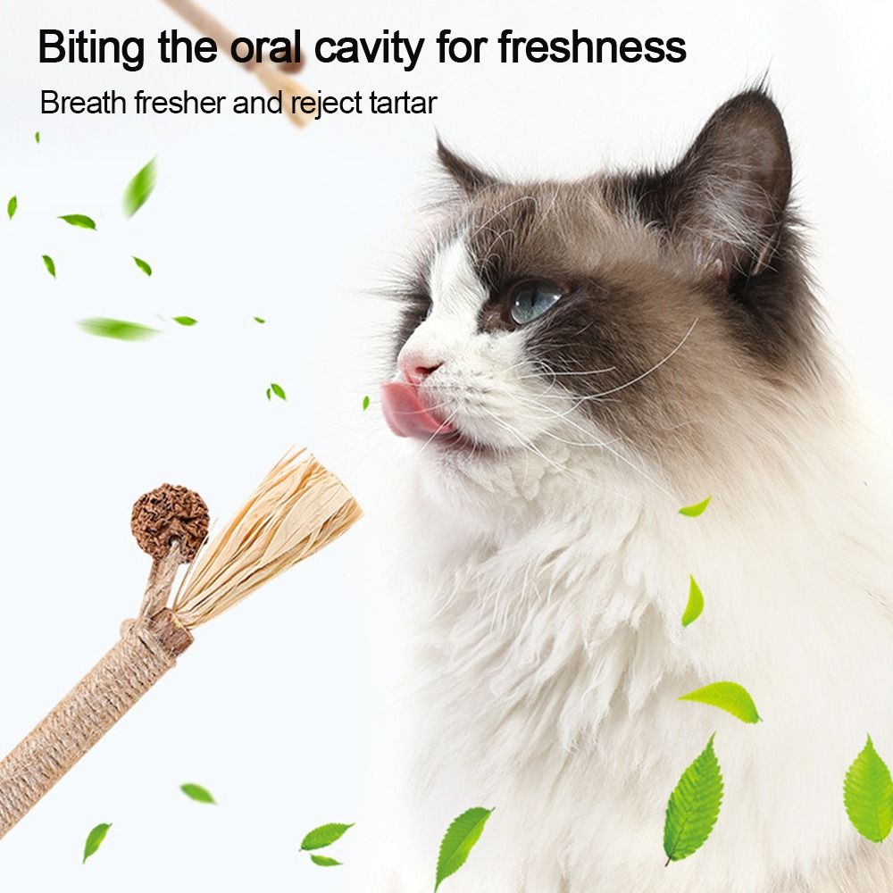 Silvervine Sticks Pet Cat Toys - Catnip Toys review and price