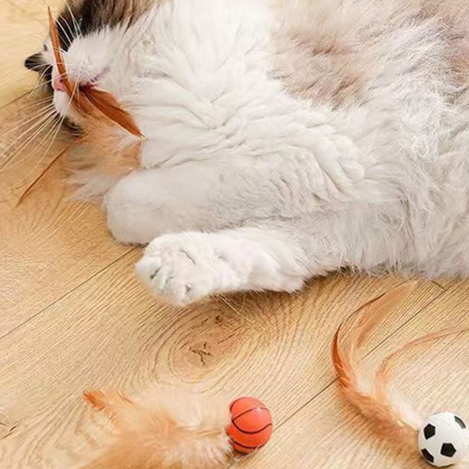 Cat Feather Ball Toys Interact - Catnip Toys review and price